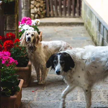 Casale Ianus - With Panoramic View 度假居 *