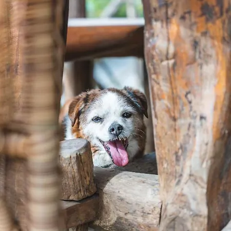 Casale Ianus - With Panoramic View *