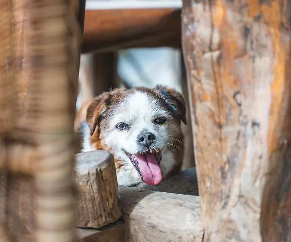 Casale Ianus - With Panoramic View *