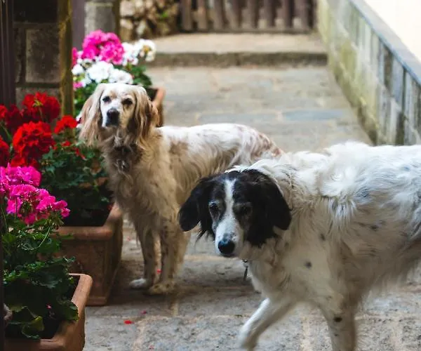 Casale Ianus - With Panoramic View Ferienhaus *